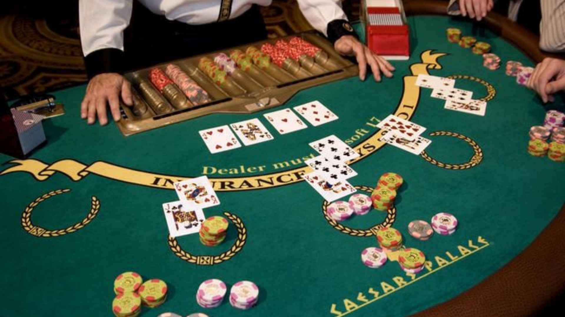 Live Casino Platforms That Make Every Session Better